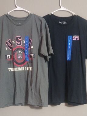 Dickies Short Sleeve Graphic Tees - Gray & Black